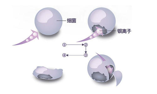 塑料抗菌剂介绍与添加比例说明